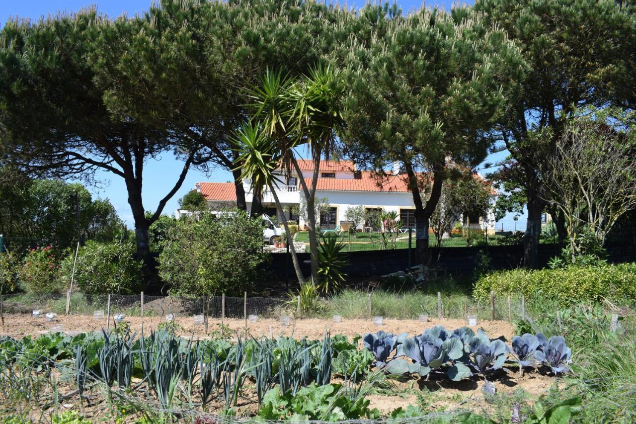 Casa Jardim Peniche Bed and Breakfast São Bernardino Exteriör bild
